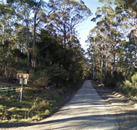 Box Cutting Rainforest Walk - Accommodation Port Macquarie