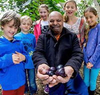 Wigay Aboriginal Culture Park - Accommodation Port Macquarie