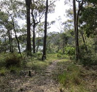 Ringlands Rotary Walk Narooma - Accommodation Port Macquarie