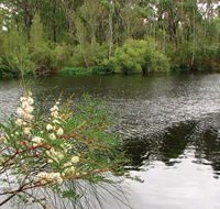 Wallingat National Park - Accommodation Port Macquarie