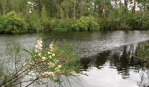Wallingat National Park - Accommodation Port Macquarie 0