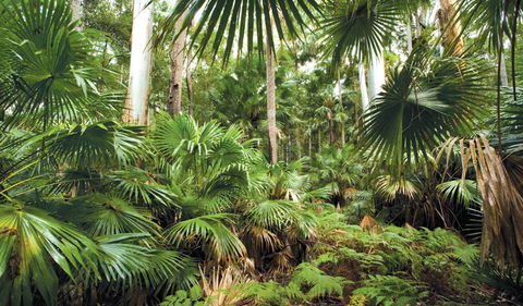 Wallingat National Park - Accommodation Port Macquarie 3