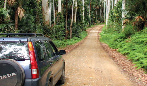 Wallingat National Park - Accommodation Port Macquarie 2