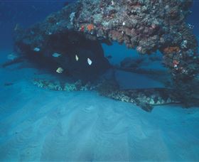 Scottish Prince Dive Site - Accommodation Port Macquarie 3