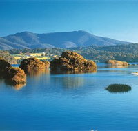 Wagonga Picnic Area - Accommodation Port Macquarie