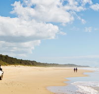 Bongil Bongil National Park - Accommodation Port Macquarie