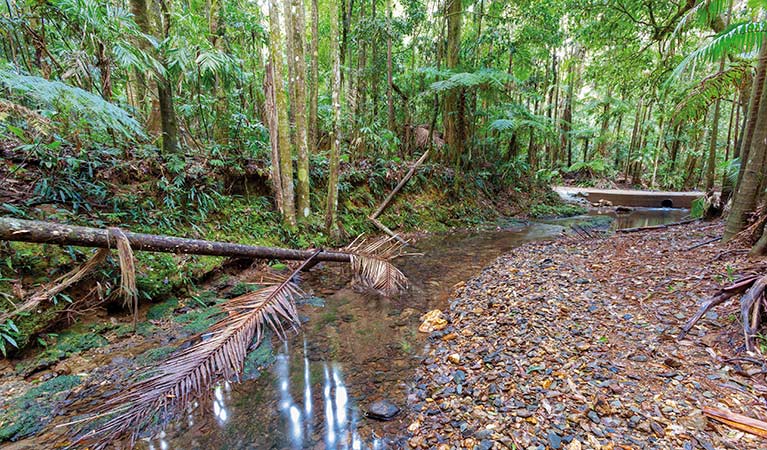 Karangi NSW Accommodation Port Macquarie