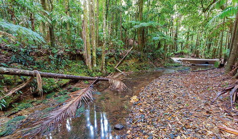 Ulidarra National Park - Accommodation Port Macquarie 0