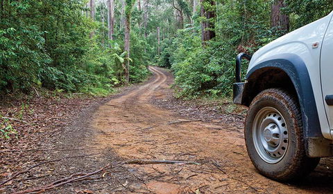 Ulidarra National Park - Accommodation Port Macquarie 2