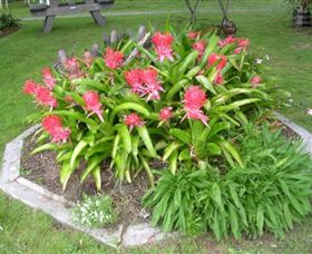 Moorlands Cottage And Gallery - Accommodation Port Macquarie 2