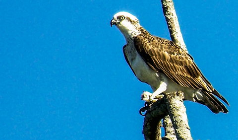 Saltwater National Park - Accommodation Port Macquarie 1