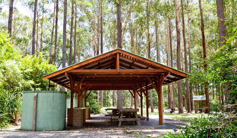 Bongil Picnic Area - Accommodation Port Macquarie 0