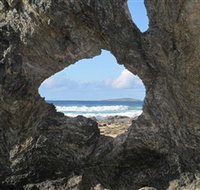 Glasshouse Rocks and Pillow Lava - Accommodation Port Macquarie