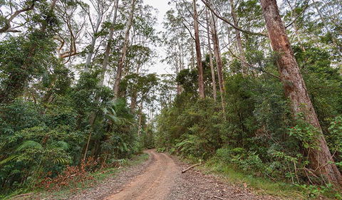 End Peak Walking Track - Accommodation Port Macquarie 0