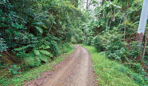 End Peak Walking Track - Accommodation Port Macquarie 2