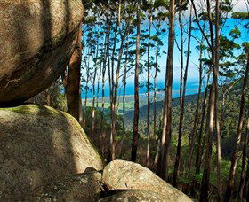 Mount Gulaga (Mount Dromedary) Walk - Accommodation Port Macquarie 0