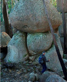Mount Gulaga (Mount Dromedary) Walk - Accommodation Port Macquarie 1