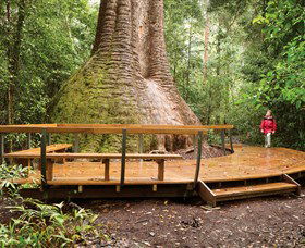 Burrawan State Forest - Accommodation Port Macquarie 0