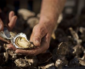 Food, Wine And Farmers Gate Journey On The Legendary Pacific Coast - Accommodation Port Macquarie 2