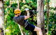 TreeTop Challenge Currumbin - thumb 0