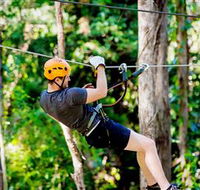 TreeTop Challenge Currumbin - Accommodation Port Macquarie