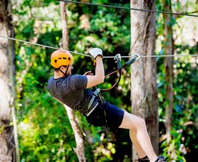 TreeTop Challenge Currumbin - Accommodation Port Macquarie 0