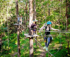 TreeTop Challenge Currumbin - Accommodation Port Macquarie 1