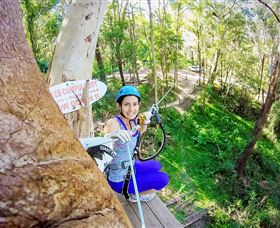 TreeTop Challenge Currumbin - Accommodation Port Macquarie 3
