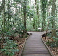 Victoria Park boardwalk - Accommodation Port Macquarie