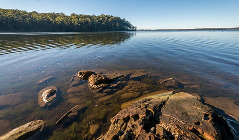 Queens Lake Nature Reserve - Accommodation Port Macquarie 0