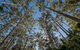 Queens Lake Nature Reserve - thumb 2