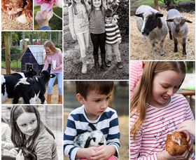 Roses Vineyard And Animal Farm - Accommodation Port Macquarie 1