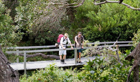 Wilsons Headland Walking Track - Accommodation Port Macquarie 0