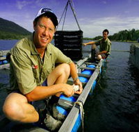 Armstrong Oysters - Accommodation Port Macquarie
