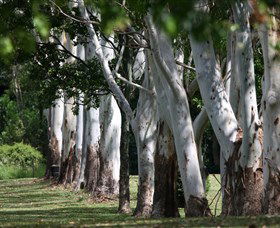 Teven Valley Golf Course - Accommodation Port Macquarie 1