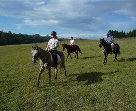 Port Macquarie Horse Riding Centre - Accommodation Port Macquarie 5