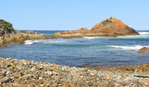 Mimosa Rocks Walking Track - Accommodation Port Macquarie 3