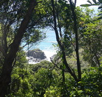 Rainforest walking track - Accommodation Port Macquarie