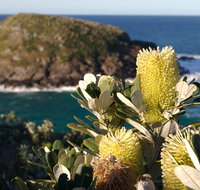 Green Island walking track - Accommodation Port Macquarie
