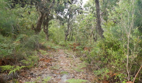 Kinchela Trig Lookout Walk - Accommodation Port Macquarie 0