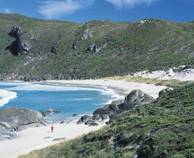 D'Entrecasteaux National Park - Accommodation Port Macquarie 0