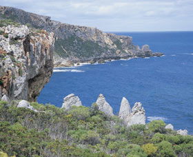 D'Entrecasteaux National Park - Accommodation Port Macquarie 3