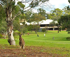Pambula Merimbula Golf Club - Accommodation Port Macquarie 0