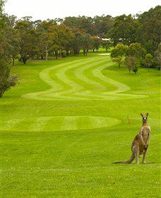 Pambula Merimbula Golf Club - Accommodation Port Macquarie 2