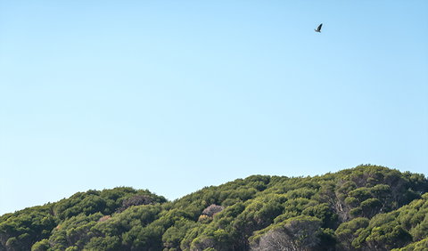Terrace Beach And Lennards Island - Accommodation Port Macquarie 1