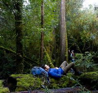 The Tarkine Drive - Accommodation Port Macquarie