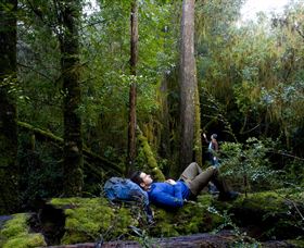 The Tarkine Drive - Accommodation Port Macquarie 0