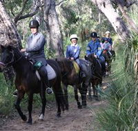 Mirravale Horse Riding School - Accommodation Port Macquarie