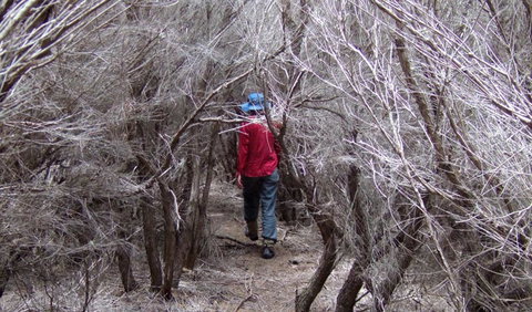 Nadgee Nature Reserve - Accommodation Port Macquarie 3