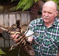 Lobster Ponds - Accommodation Port Macquarie
